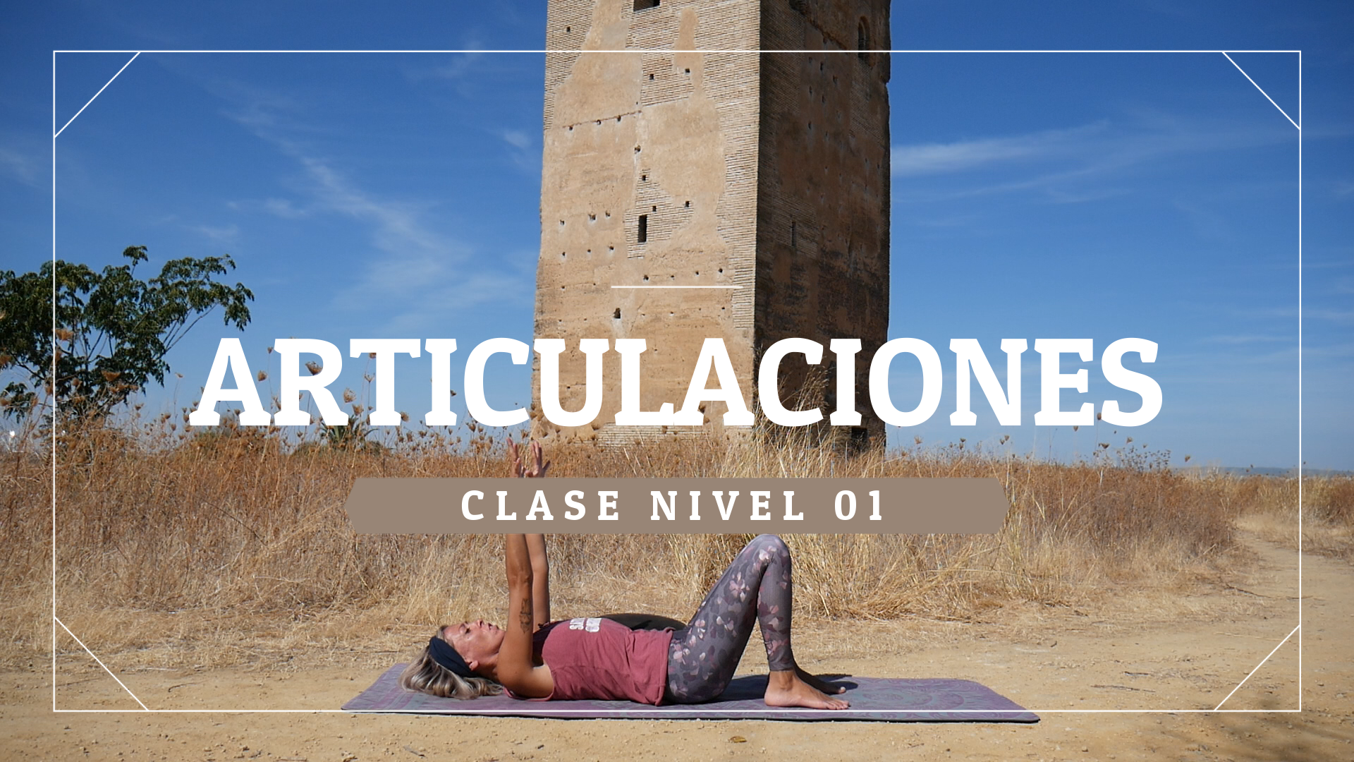 Articulaciones - Nivel 01