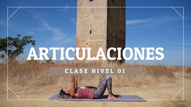 Articulaciones - Nivel 01