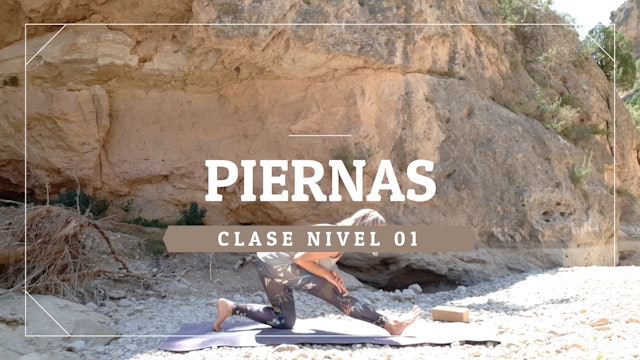 Piernas - Nivel 01