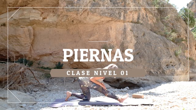 Piernas - Nivel 01