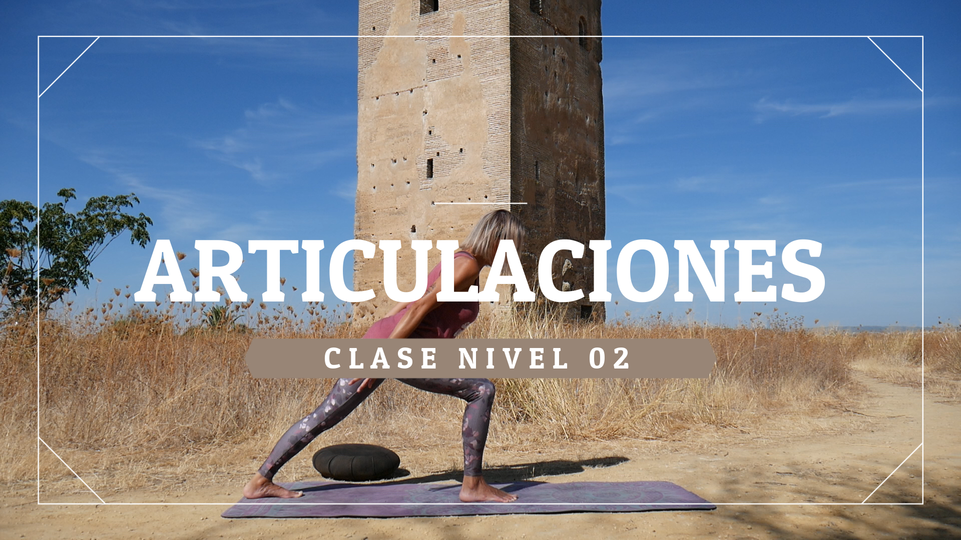 Articulaciones - Nivel 02