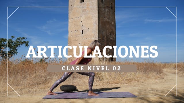 Articulaciones - Nivel 02