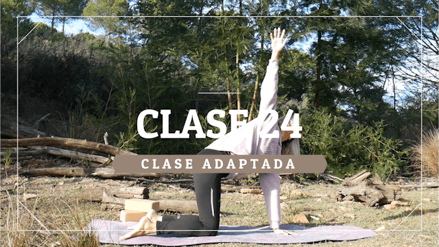 Clase 24 - Nivel adaptado