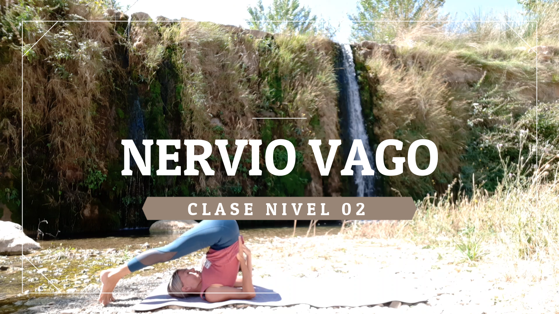 Nervio vago - Nivel 02