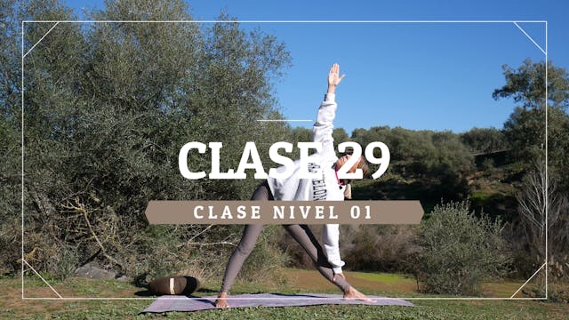 Clase 29 - Nivel 01