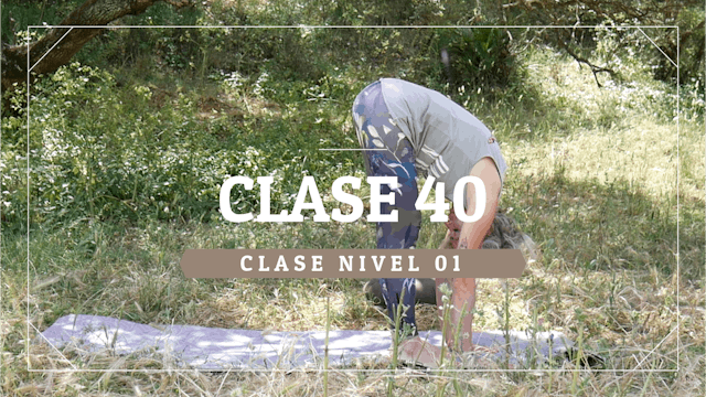 Clase 40 - Nivel 01
