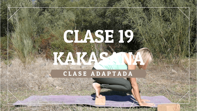 Clase 19 - Nivel adaptado