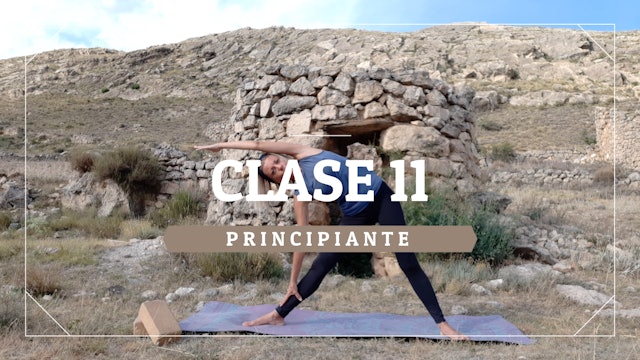 Clase 11 - Principiante