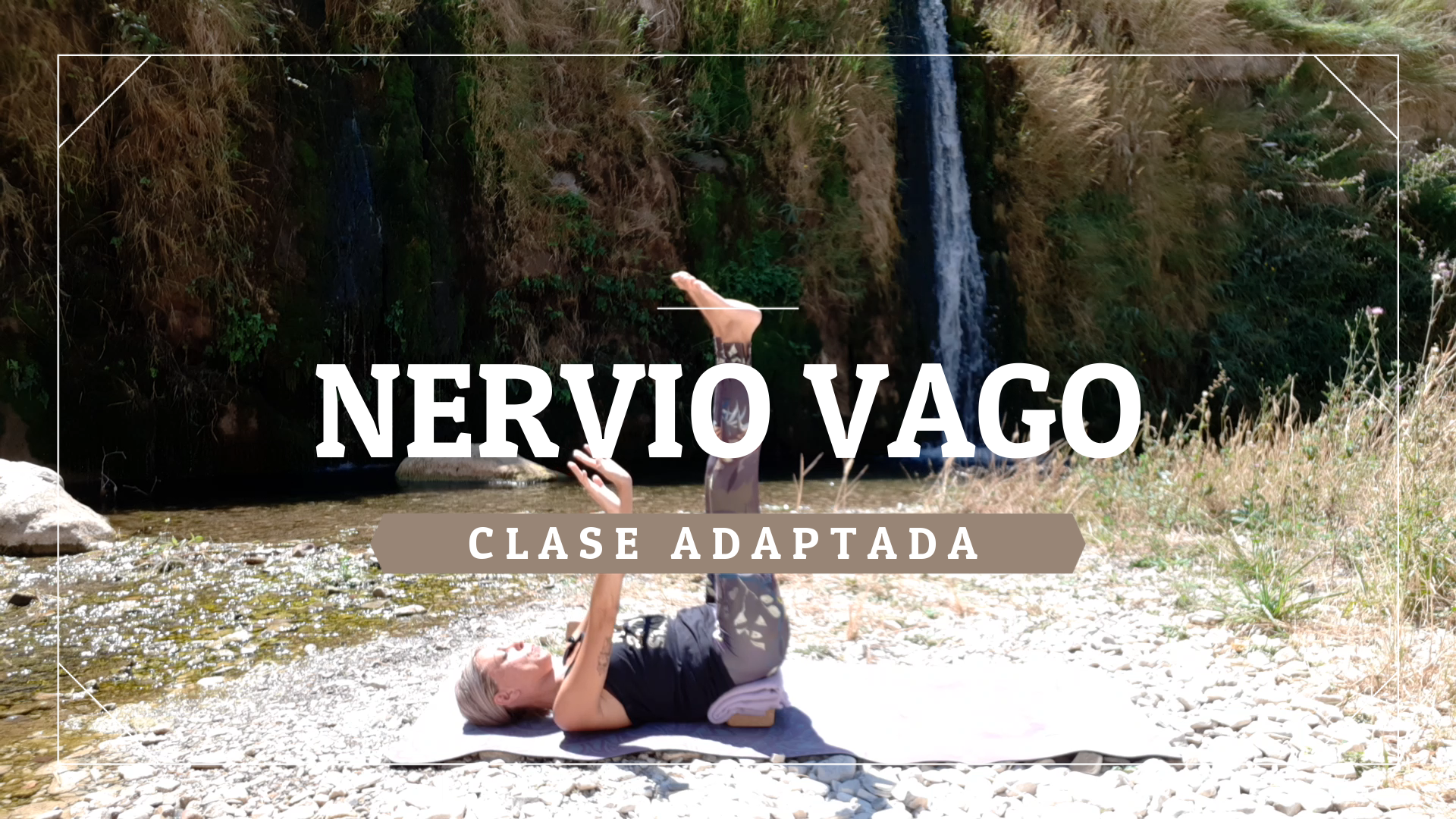 Nervio vago - Nivel adaptado