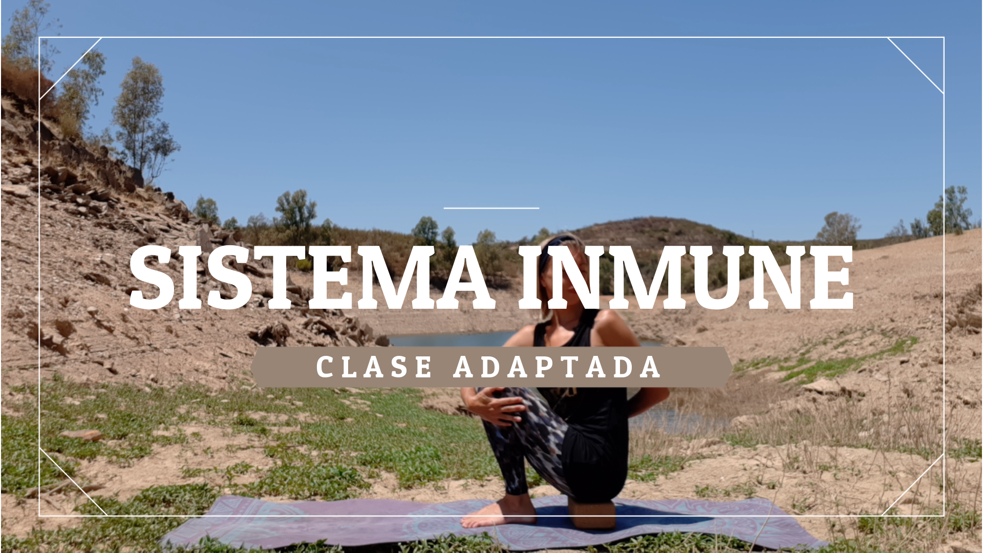 Sistema Inmune - Nivel adaptado