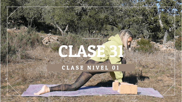Clase 31 - Nivel 01