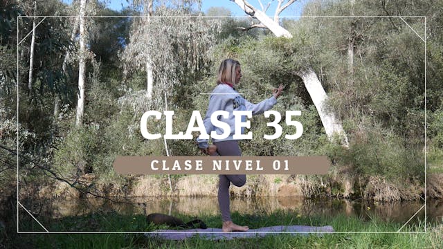 Clase 35 - Nivel 01