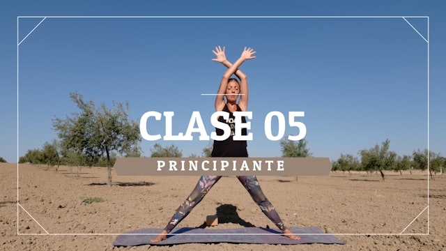 Clase 05 - Principiante