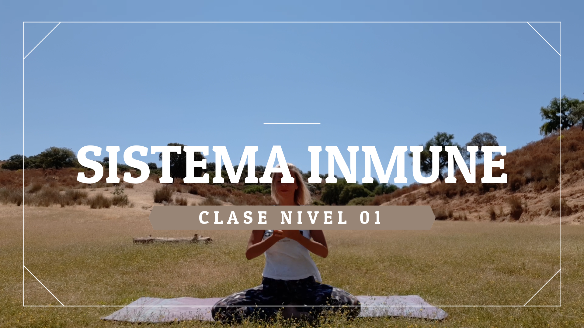 Sistema Inmune - Nivel 01