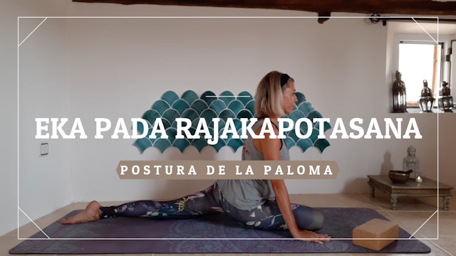 Eka Pada Kapotasana - Postura de la Paloma