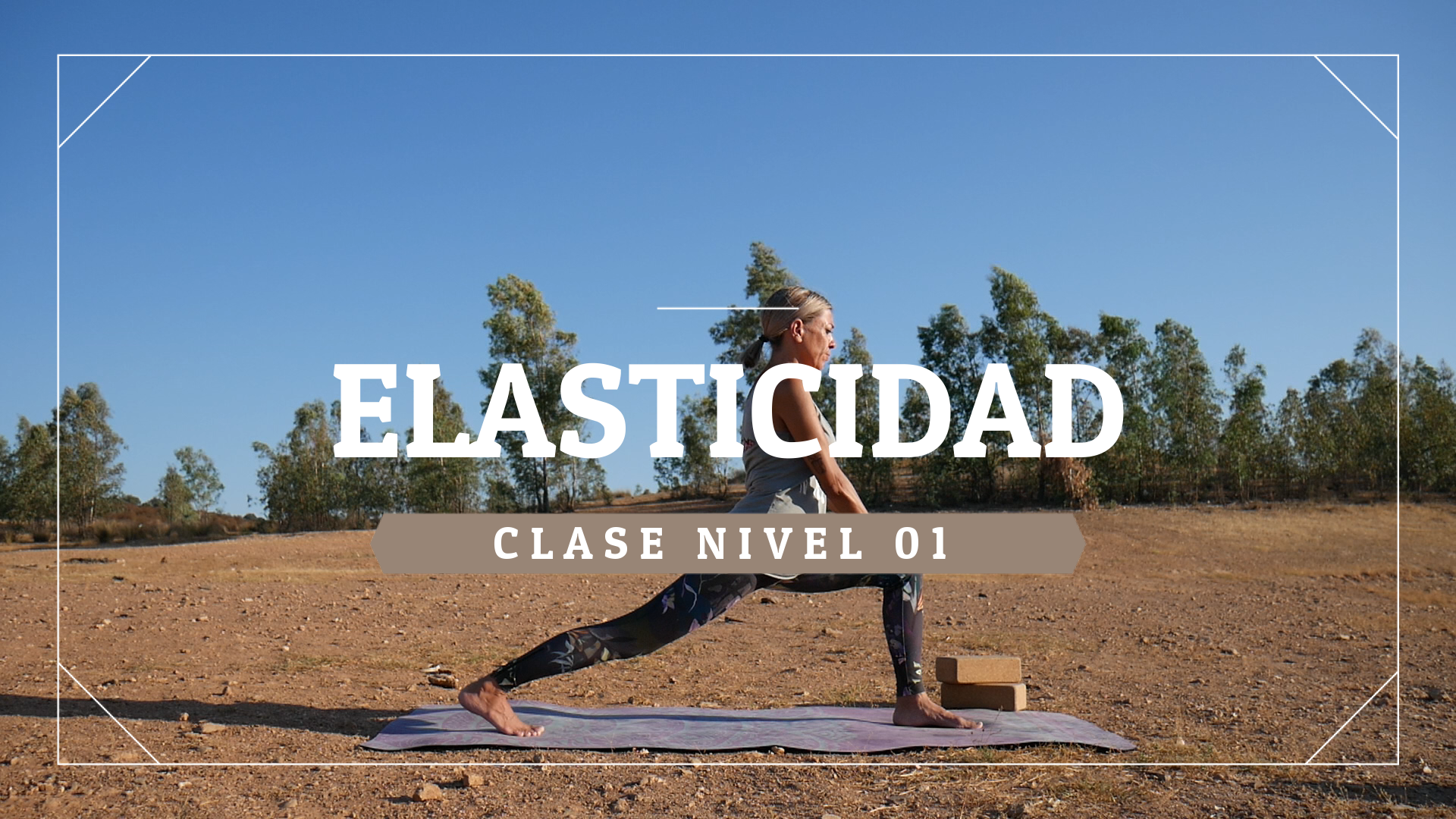 Elasticidad - Nivel 01