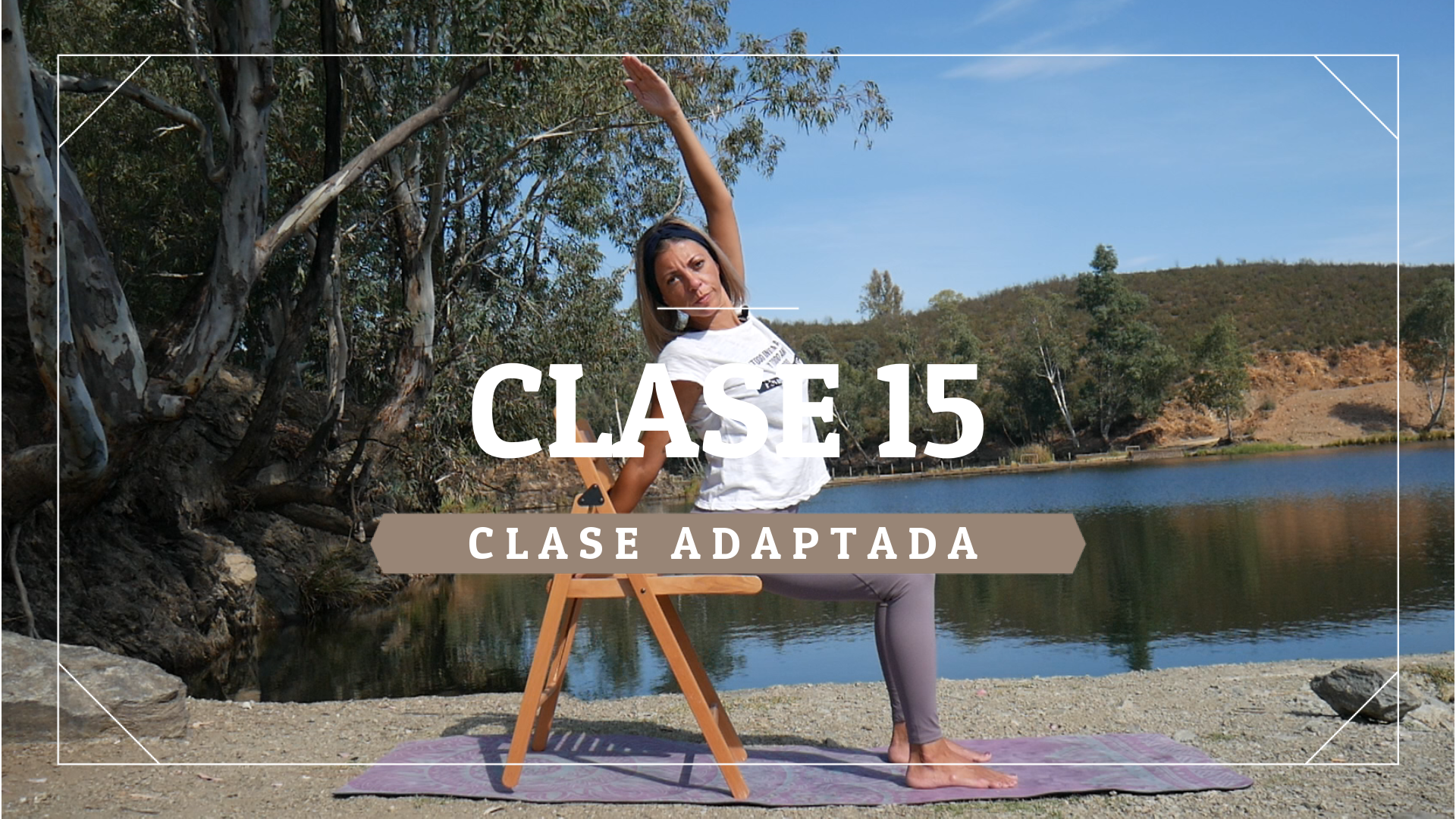 Clase 15 - Nivel adaptado