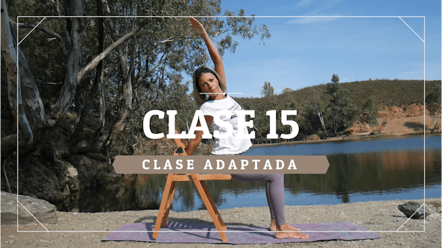 Clase 15 - Nivel adaptado