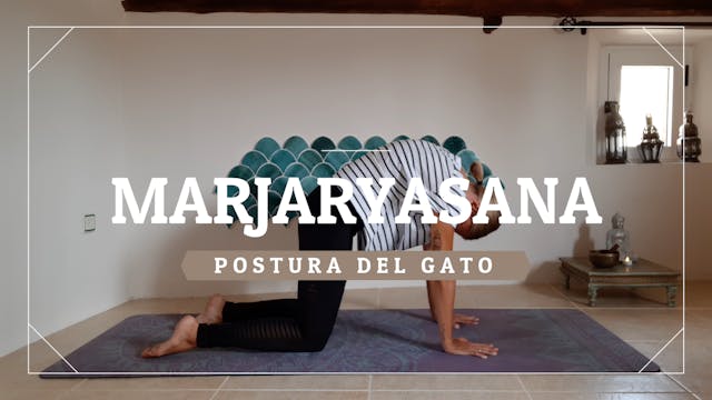 Marjaryasana - Postura del Gato