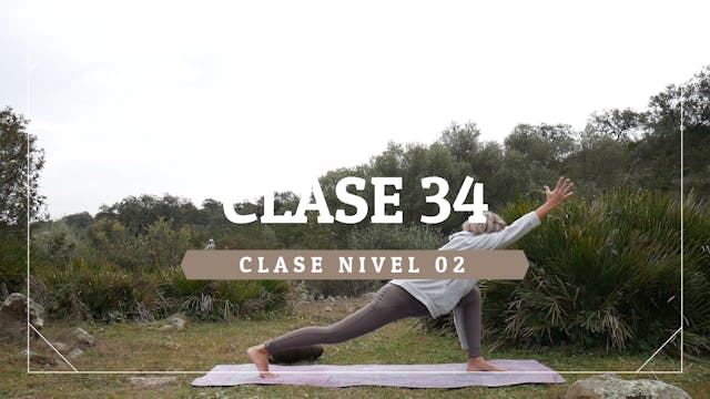 Clase 34 - Nivel 02