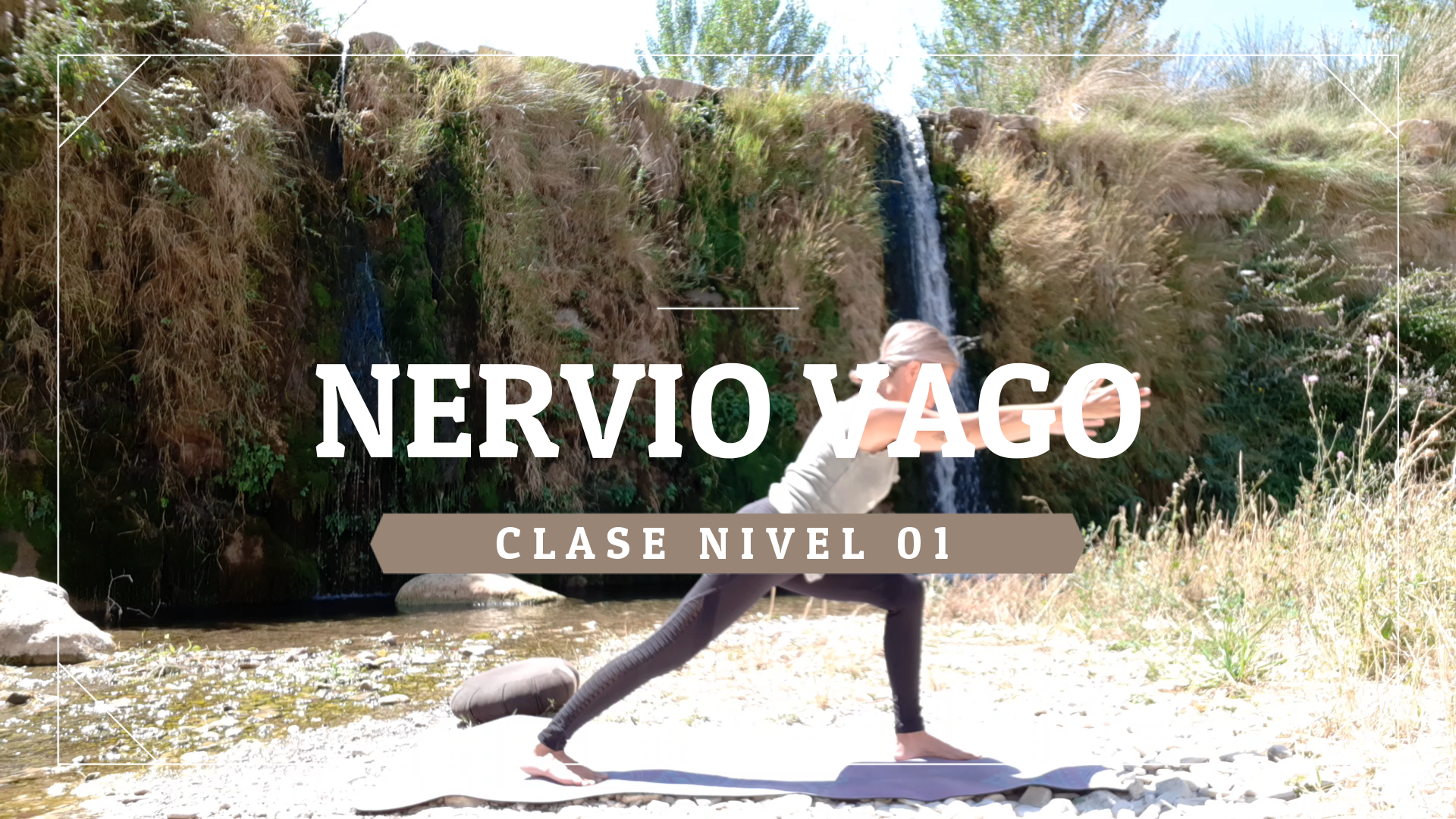 Nervio vago - Nivel 01