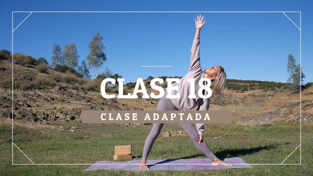 Clase 18 - Nivel adaptado