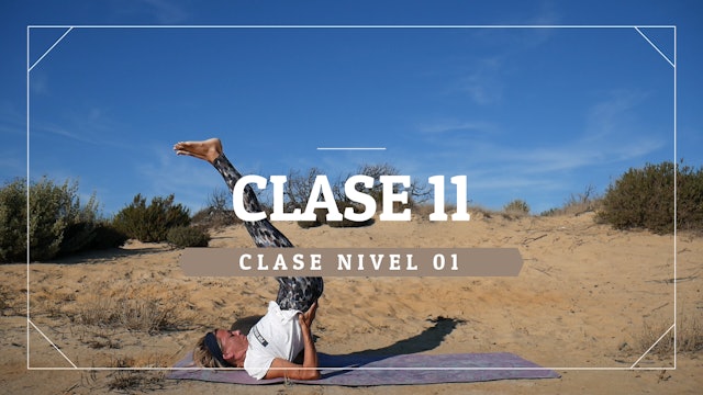 Clase 11 - Nivel 01