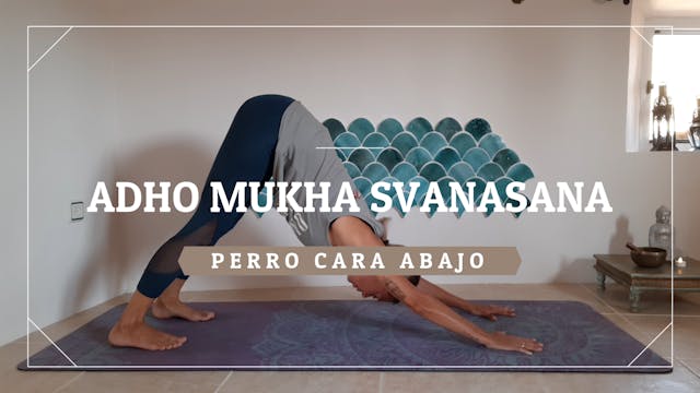 Adho Mukha Svanasana - Perro cara abajo