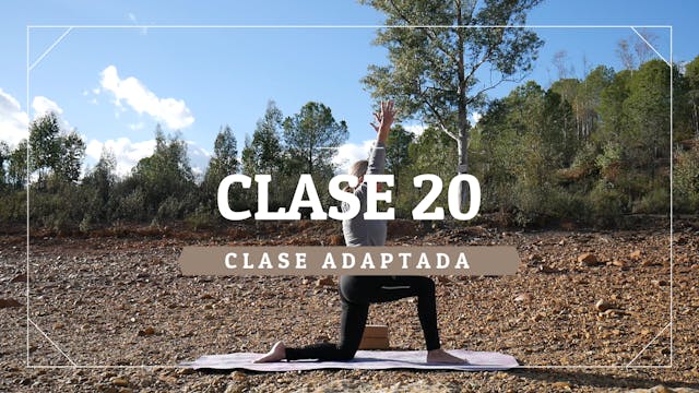 Clase 20 - Nivel adaptado