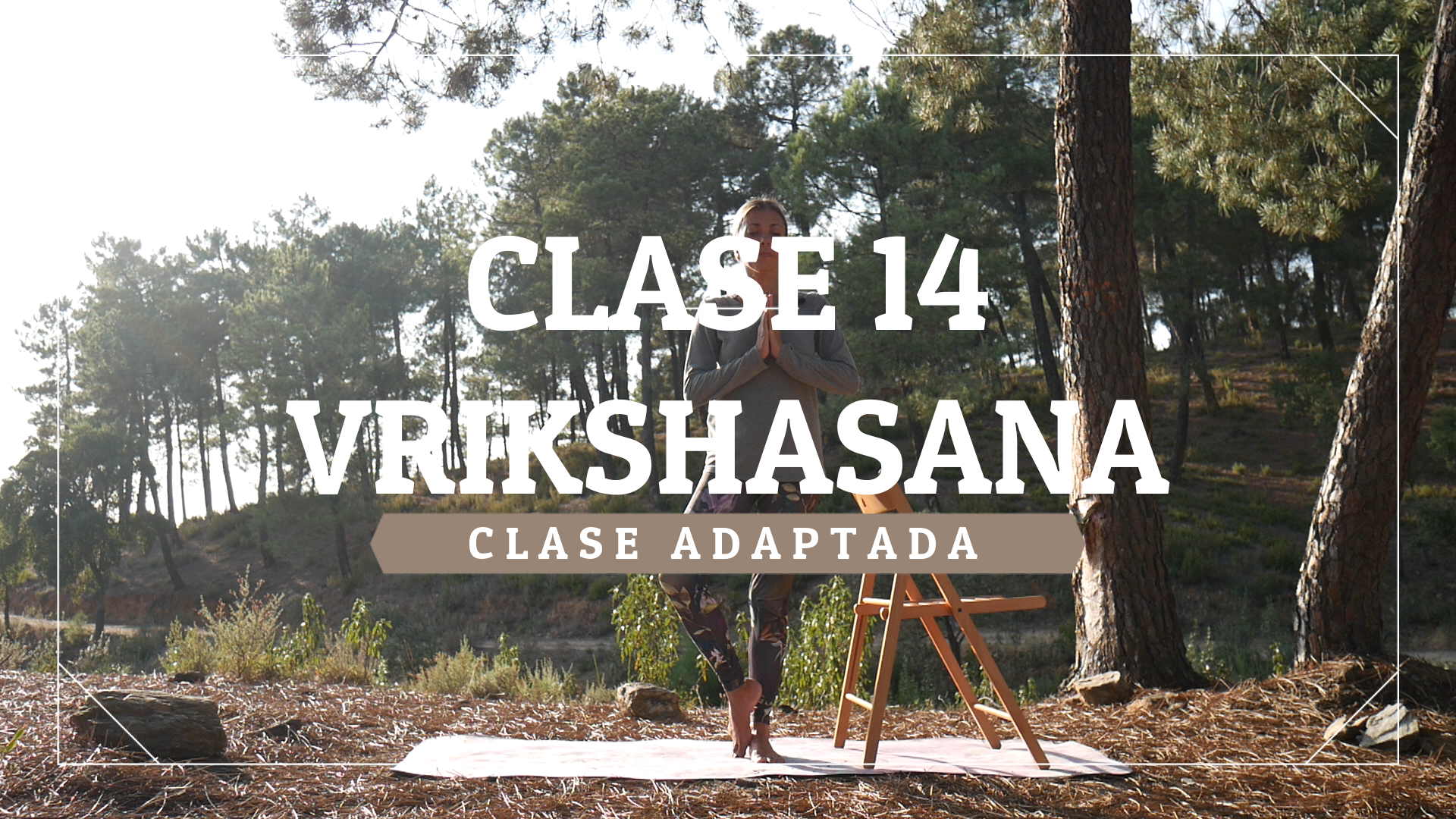 Clase 14 - Nivel adaptado