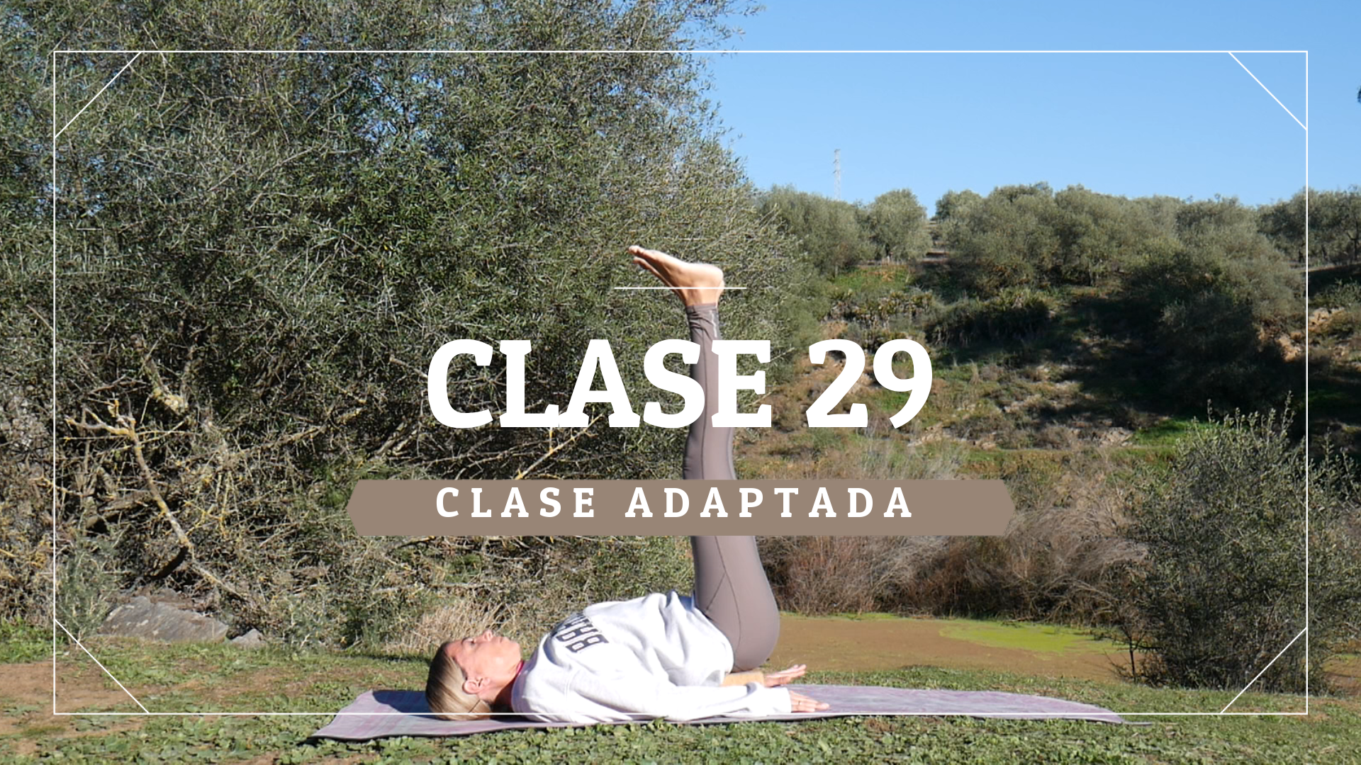 Clase 29 - Nivel adaptado