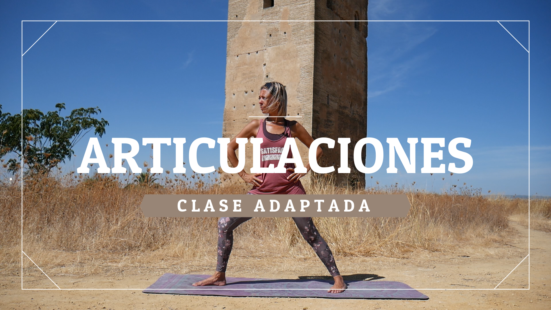 Articulaciones - Nivel adaptado