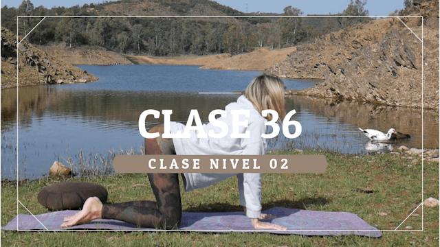 Clase 36 - Nivel 02