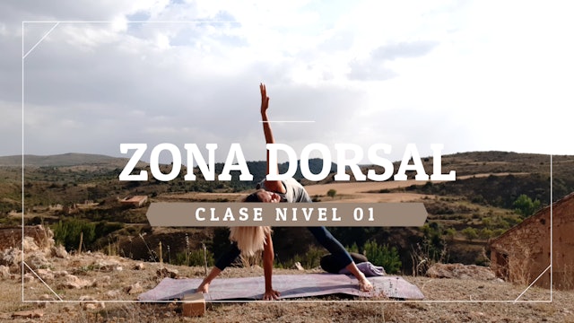Zona dorsal - Nivel 01