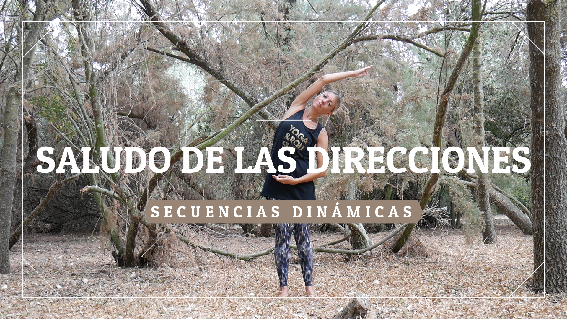 Saludo de las direcciones