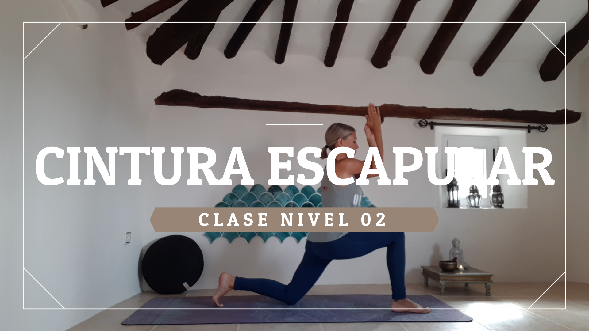 Cintura escapular - Nivel 02