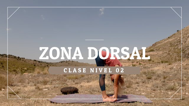 Zona dorsal - Nivel 02