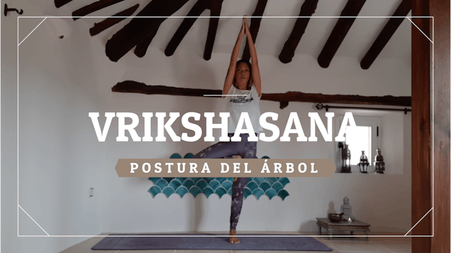 Vrikshasana - Postura del Árbol