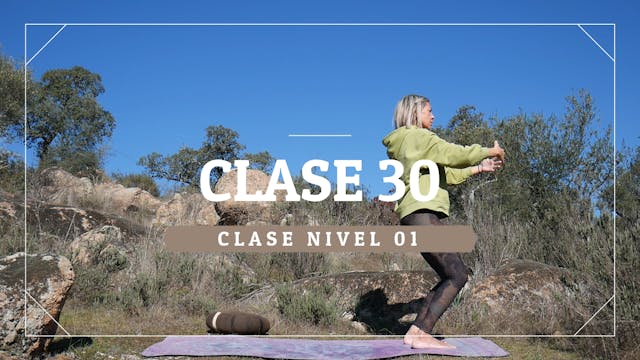 Clase 30 - Nivel 01