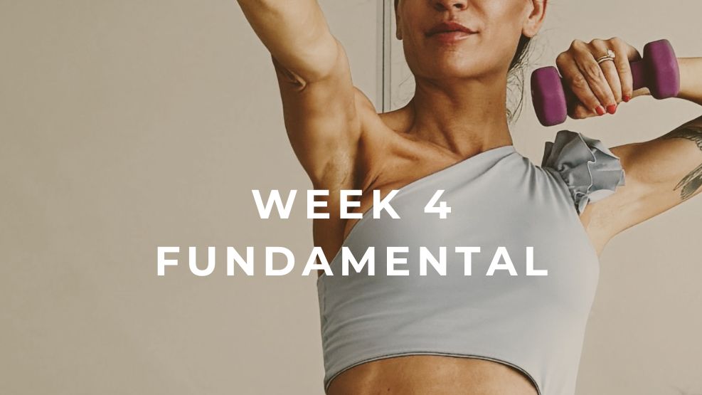Fundamental Week 4