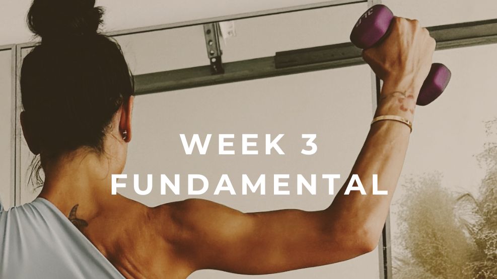 Fundamental Week 3