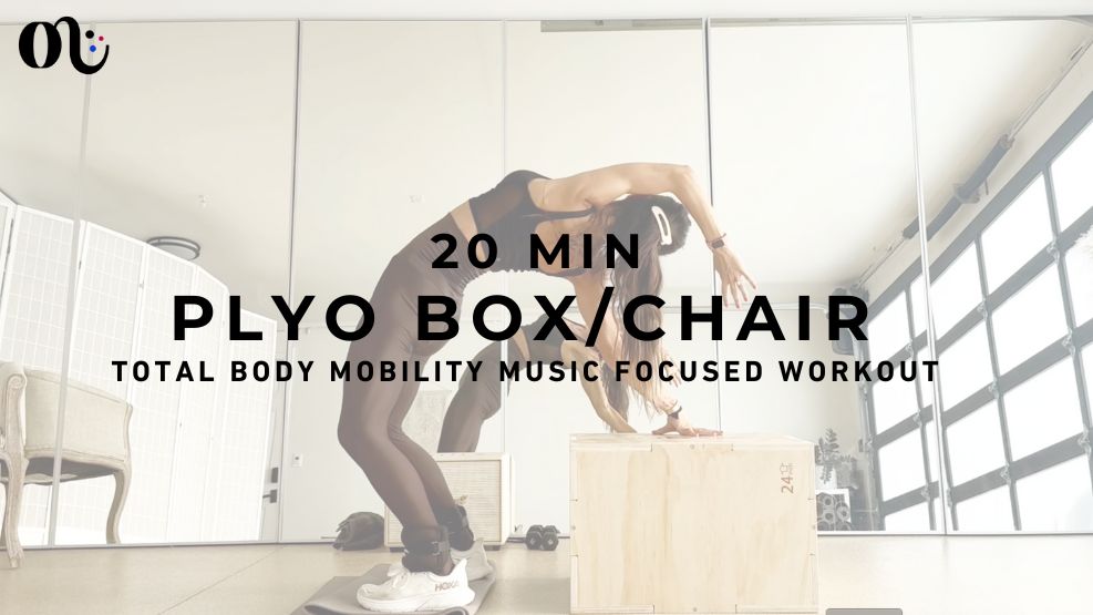 Total Body and Mobility (Plyo Box or Chair) 2024-11-20