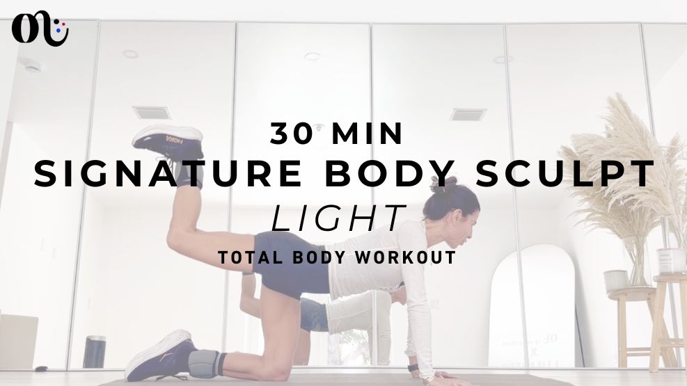 Signature Class Light 2026-02-18