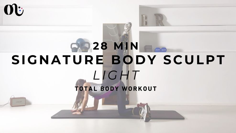 Signature Class Light 2025-08-13