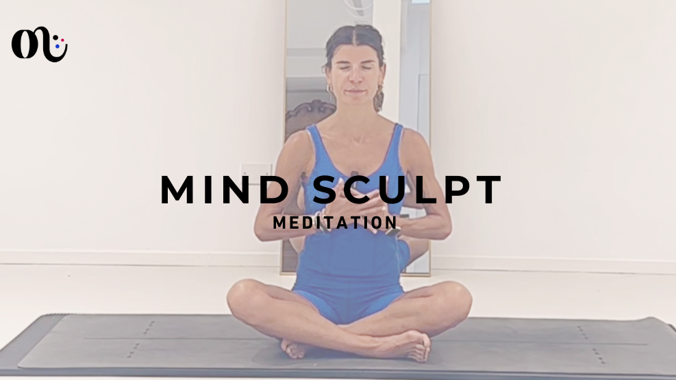 Mind Sculpt Meditation 2024-08-07