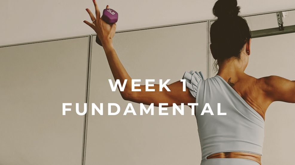 Fundamental Week 1