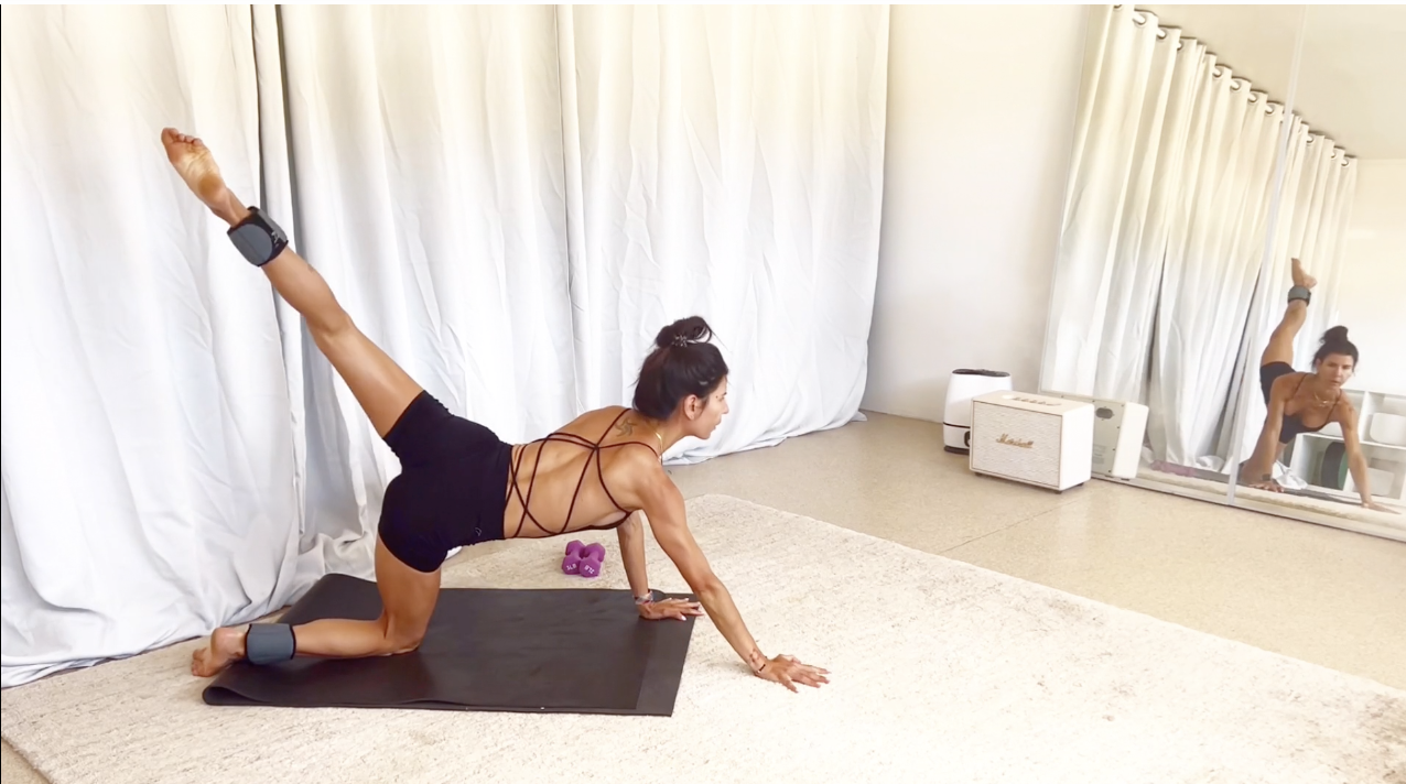 Lower Body and Abs -Fundamental 