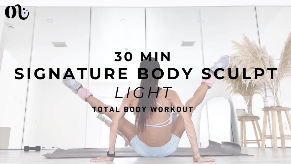 Signature Class Light 2026-02-25