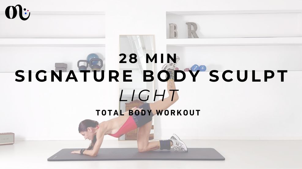 Signature Class Light 2025-08-27