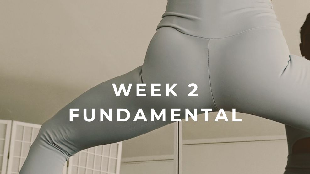 Fundamental Week 2